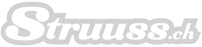 logo grey struuss logo grey struuss